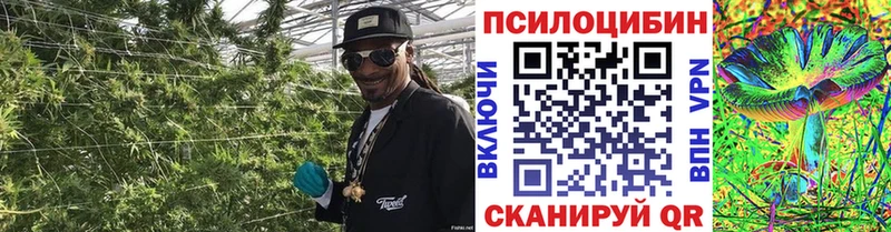 Псилоцибиновые грибы ЛСД  Белебей 