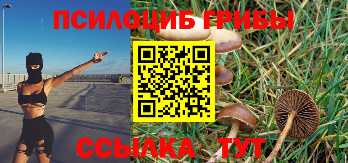 Галлюциногенные грибы прущие грибы Белебей