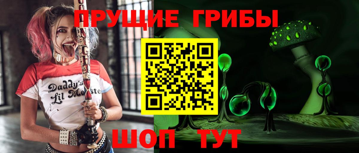 Белебей  Псилоцибиновые грибы Cubensis  Вход с VPN 
